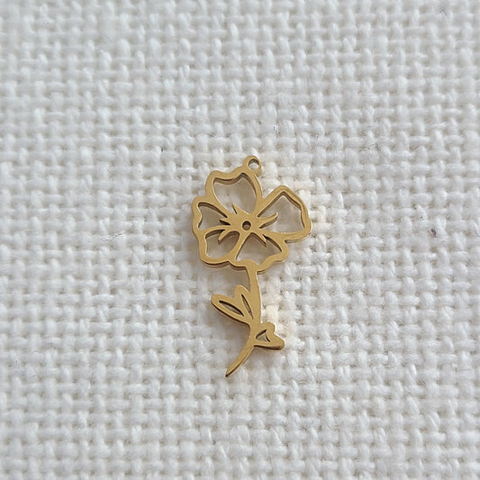 August Flower - Gladiolus