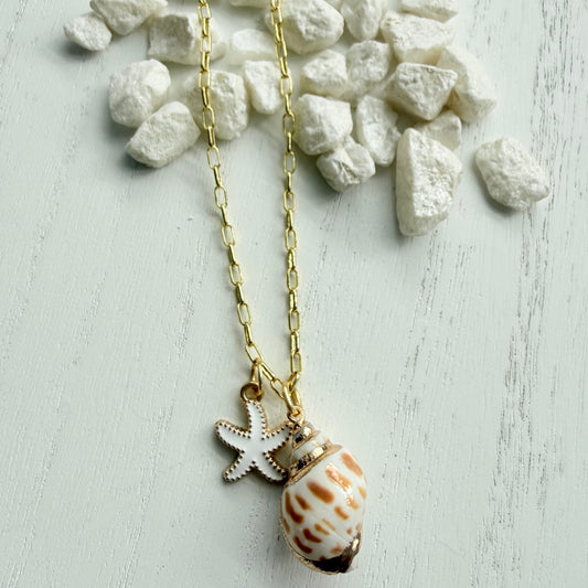 Seashell Necklace