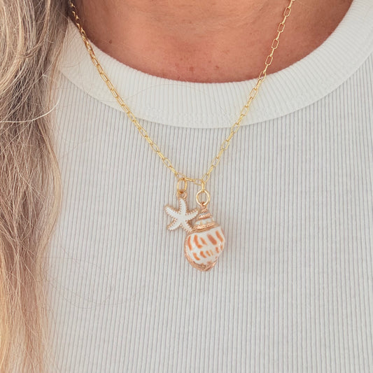 Seashell Necklace