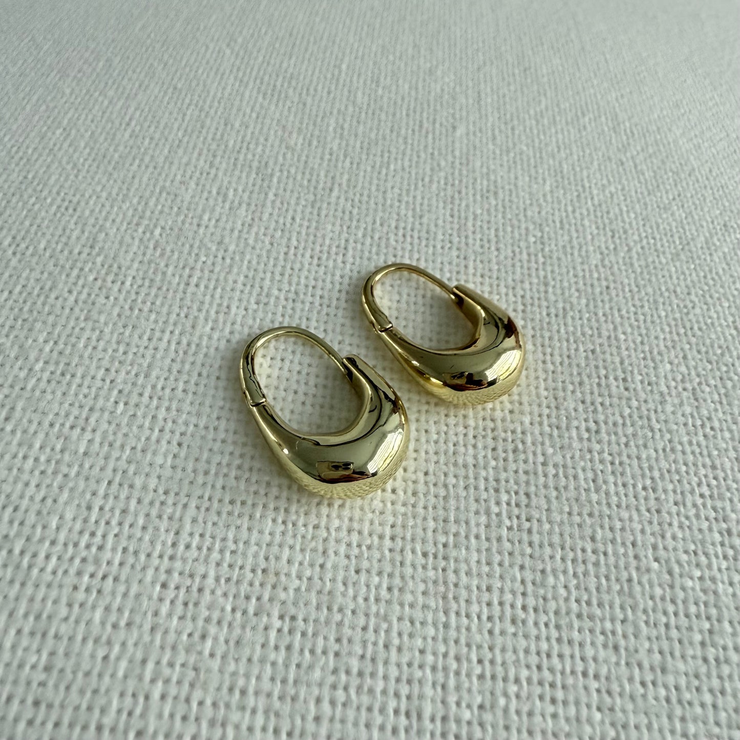 Camille Hoops Earrings