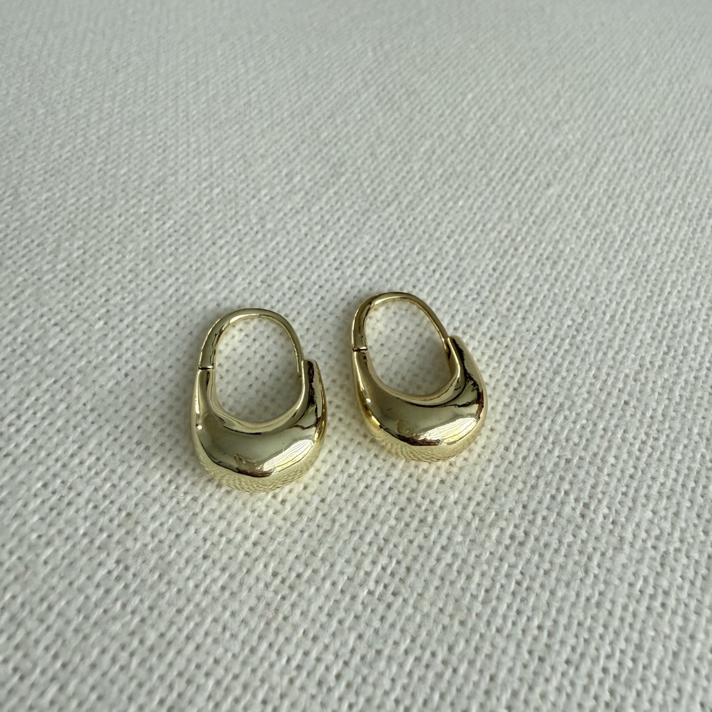 Camille Hoops Earrings
